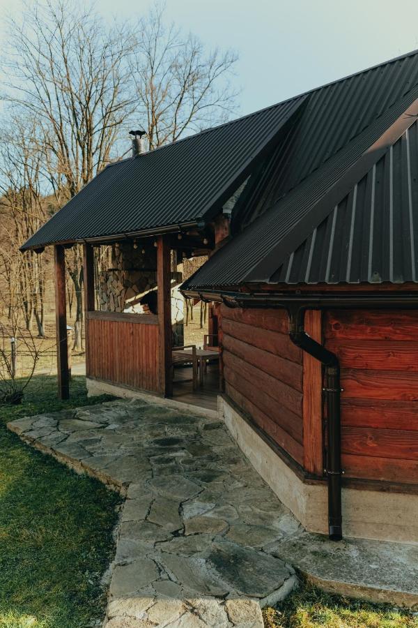 Ferienwohnung Vigora Werchowyna Exterior foto